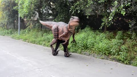 Dinosaur Costume Berlin: brown raptor