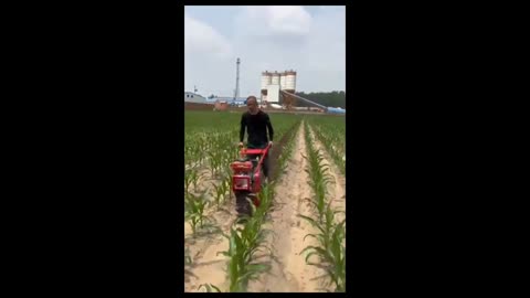 New Homemade Machinery for the Farmers 😎