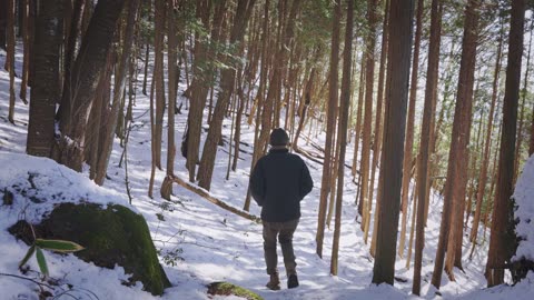 Winter camping