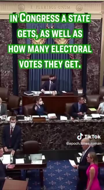 HOW ELECTIONS ARE RIGGED🗳️BY A CHEATING SYSTEM🎭🎪🤹‍♀️🎰📮💫