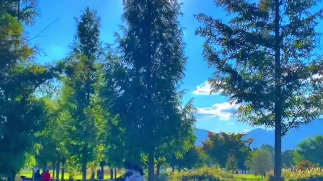 up against the sides of the yard.