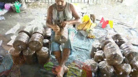 Mushroom Cultivation Training