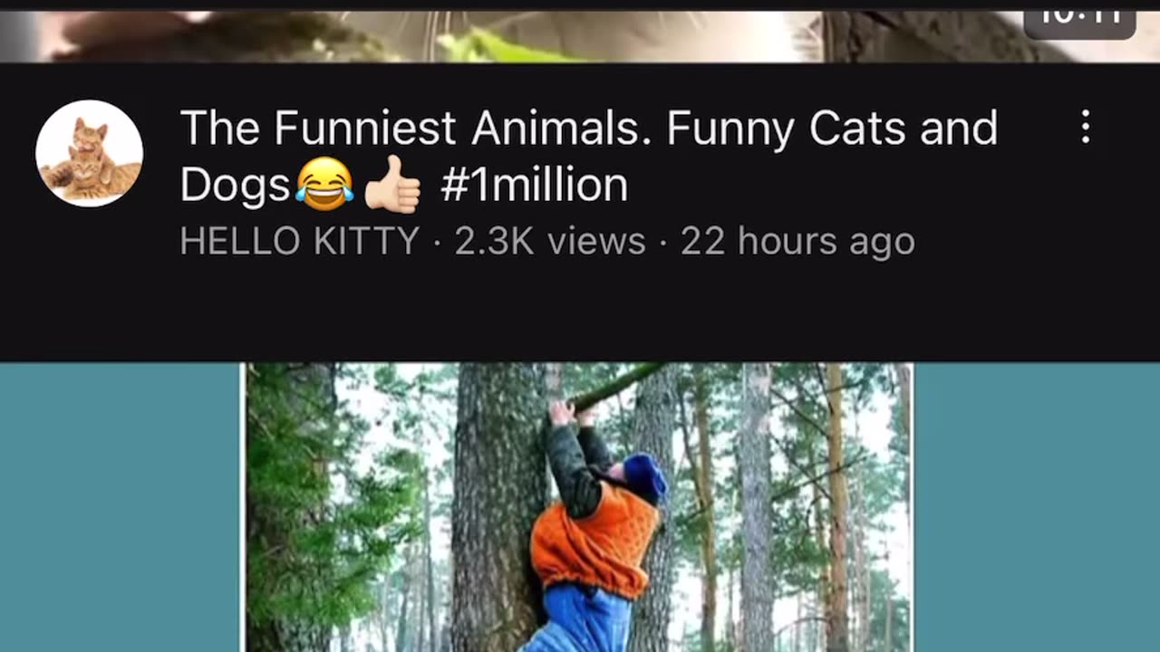 New Funny and Fail Videos 😂