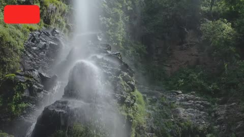 Waterfall in forest