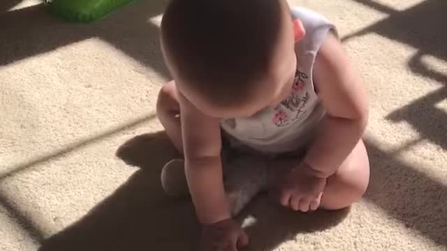 If a baby sees their shadow, it's six more weeks of cuteness! 🤗