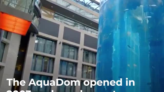 Huge AquaDom hotel aquarium explodes in Berlin