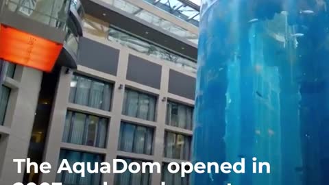 Huge AquaDom hotel aquarium explodes in Berlin