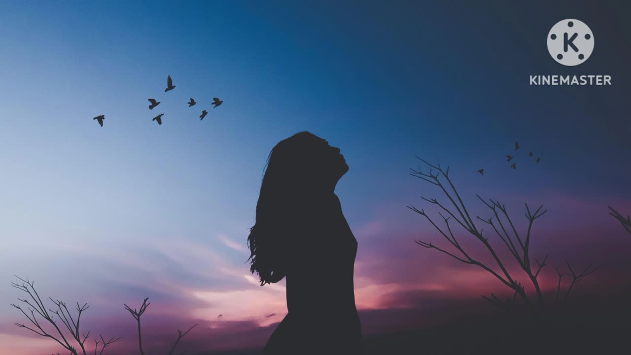 Jana song slowed reverb (bollywood song full relax song)