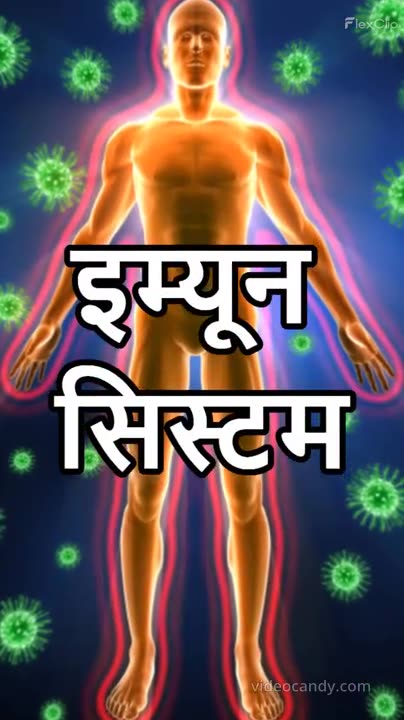 Many Benefits Of Pine Nuts