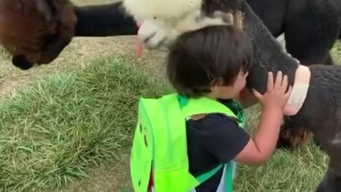 Children and animals,It's soooo cute