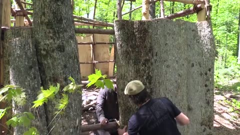 Building a small longhouse