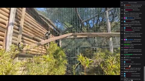 2023-03-07 (1bis) - Le prix du local a augmenté - Twitch Triskelina (version avec chat)