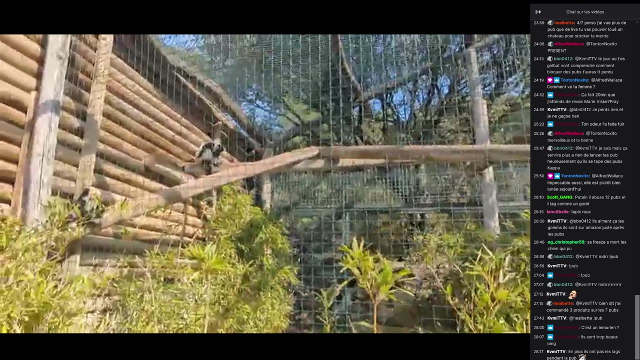 2023-03-07 (1bis) - Le prix du local a augmenté - Twitch Triskelina (version avec chat)