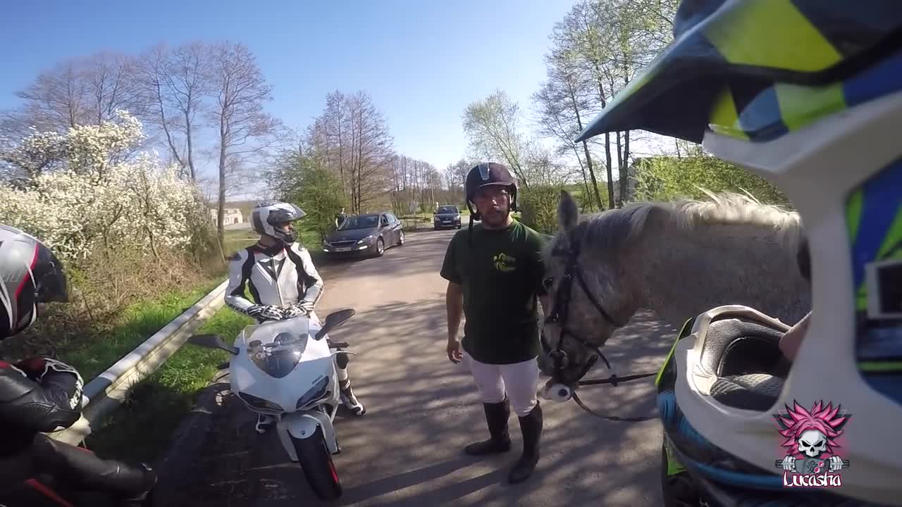 Crash horse 😱