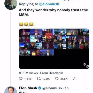 media fake all in all