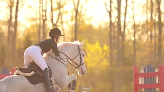 Highlights of equestrian events