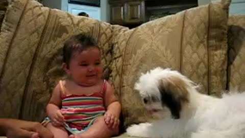 Funny video kids // Kid Playing With dog .. Laughing out loud ..