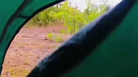 You won't believe what he saw when he opened his tent