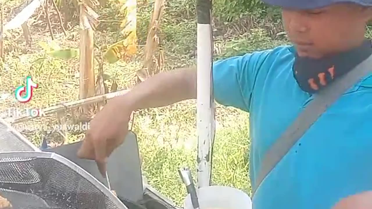 Telur gulung viral