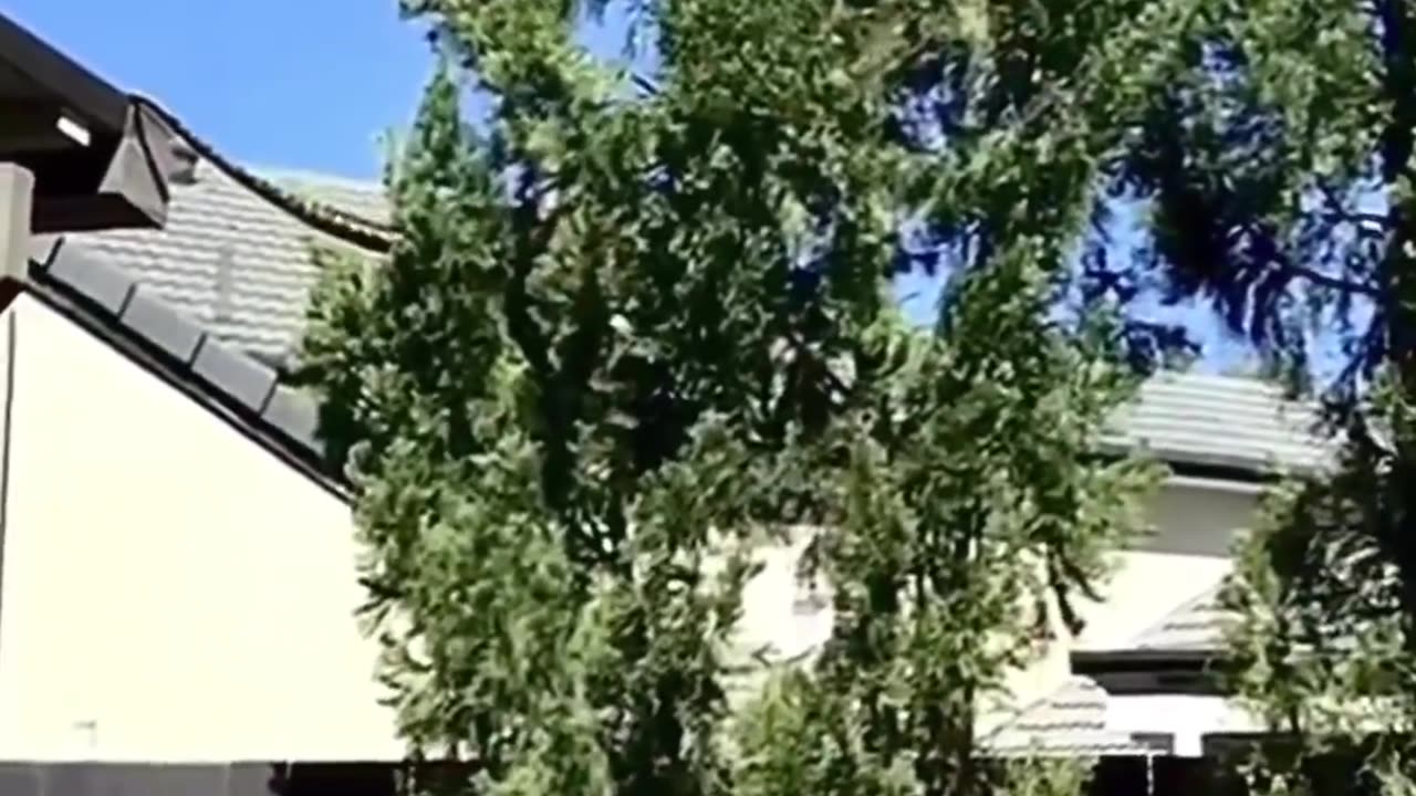 Omg snake in home