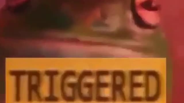 triggered frog
