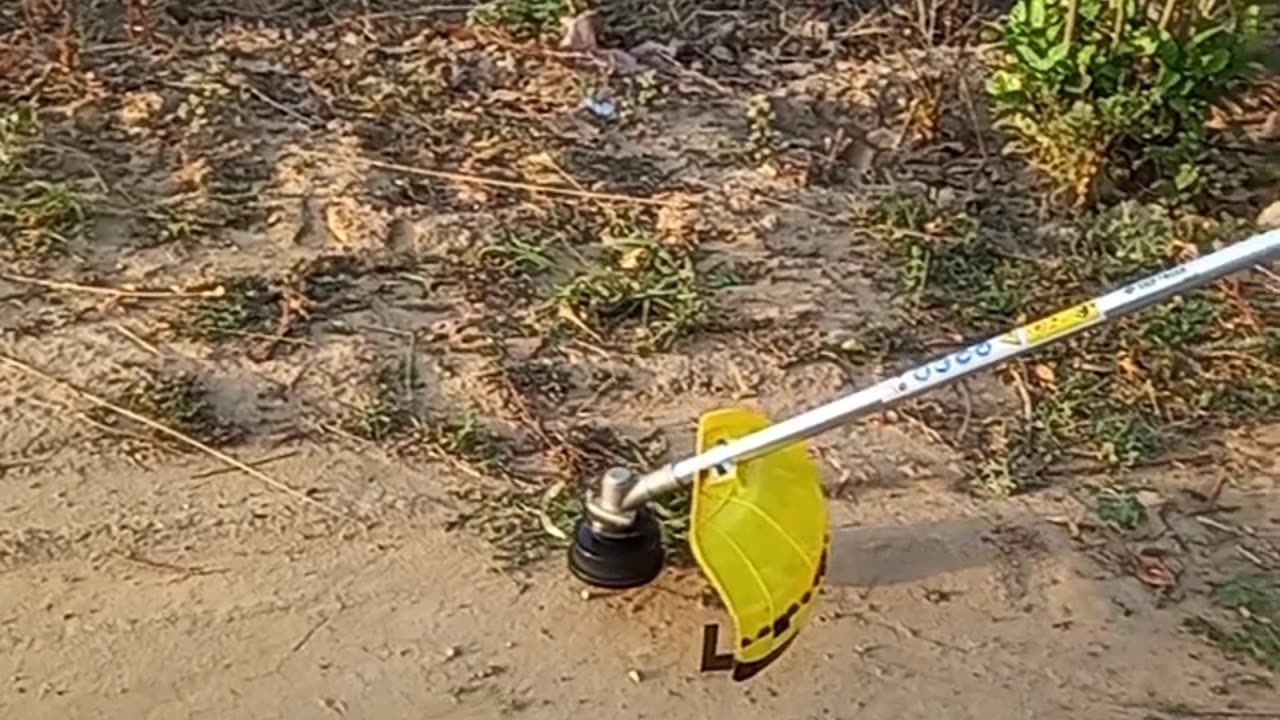 #minivlog