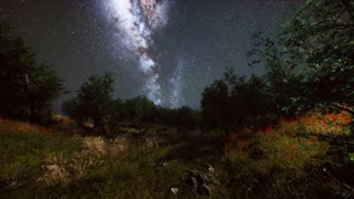 Experience the Magic of the Night Sky with Our Breathtaking Starry Sky Videos