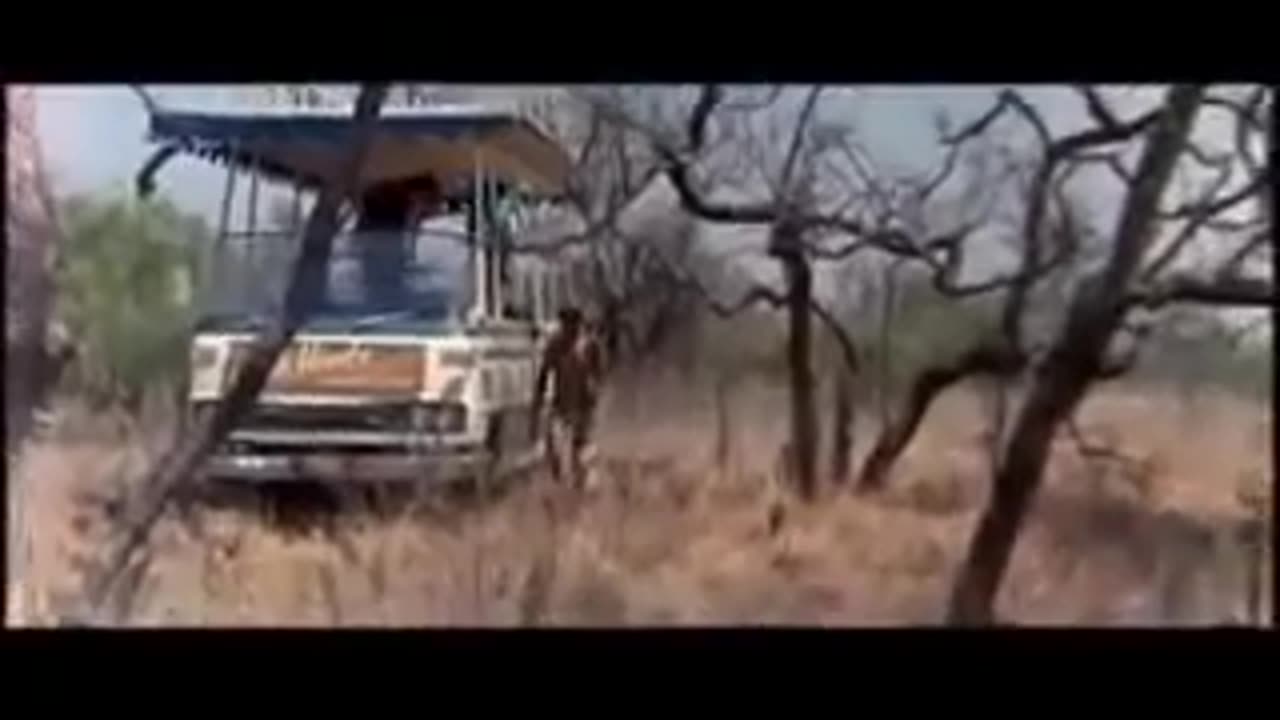 The Gods must be crazy -Funny video.mp4 ( 240 X 320 )