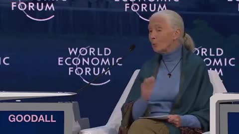 WEF REPRESETATIVE: "KEEP HUMANS HAPPY WITH DRUGS AND COMPUTER GAMES"