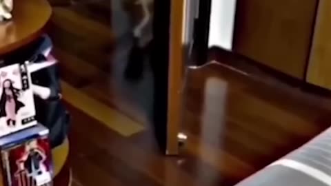 funny movement 😂🤣