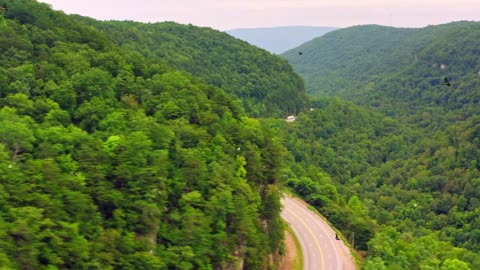 Healing Harmonies: Relaxing Music for Deep Restoration