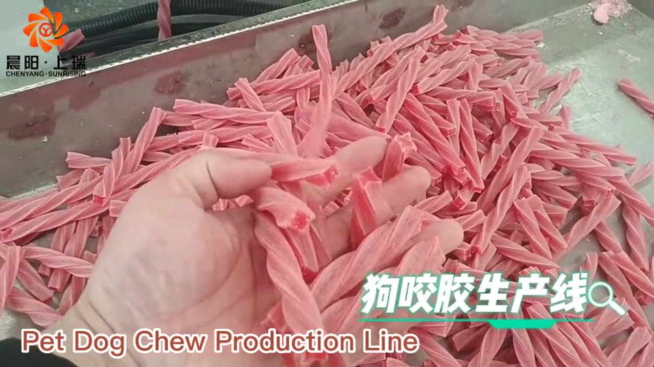 Single Screw Extruder Pet Dog Chew Treats Making Machine Line | Chenyang