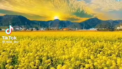Natural views