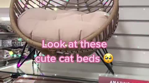 cute cat beds
