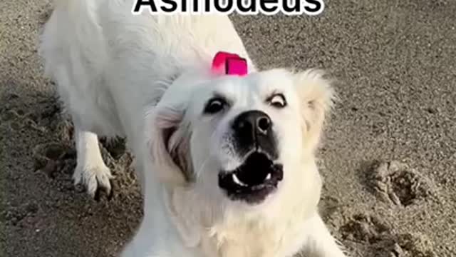 the last one omg 😂