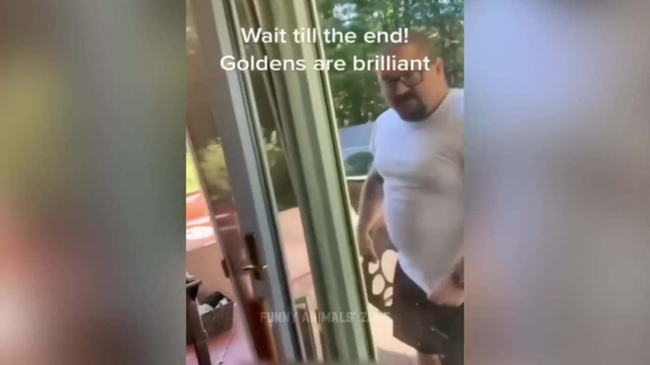 Funniest Animals 2023 😂 Funny Cats and Dogs 🐱🐶 - Funny Animal Videos 2023