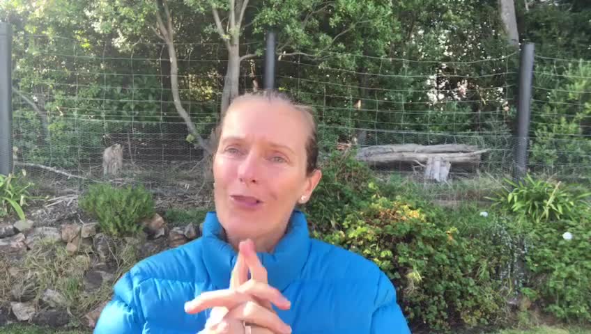 #52 Lessons on Health - MOVE - the human body is constantly moving inside