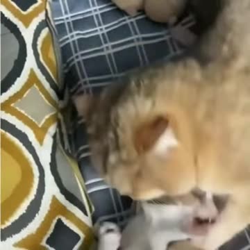 Fire! Tell me, what track is this?😀