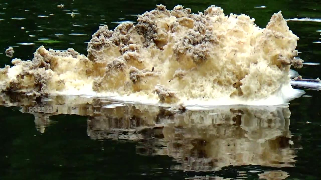 River Foam