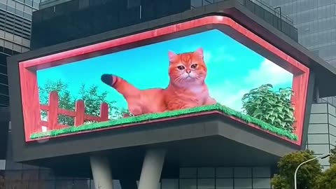 3rd billbord in china are so cool