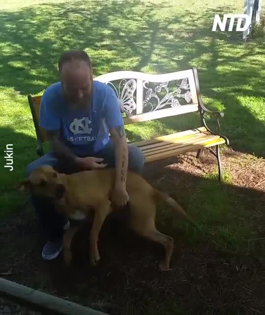 Anti-Loosh Video Number 89. LOOSH is real and bad. Explained below and watch the video!