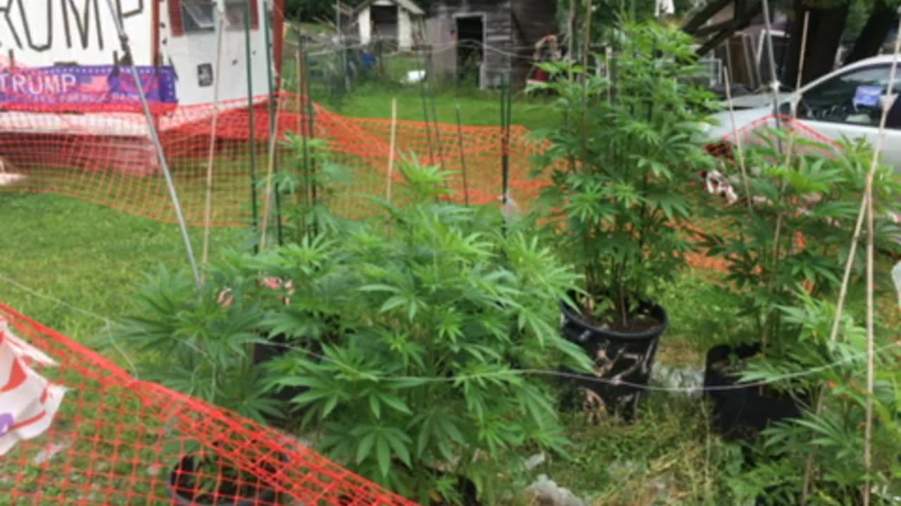 Three strikes 🪧 on Biden’s electro shocked ass supreme uncle Tom(as) Clarence opinion