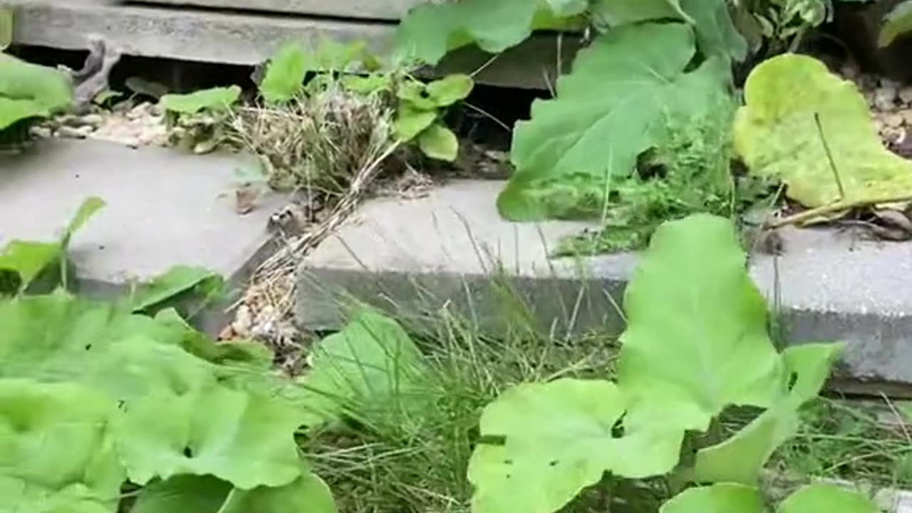 Denzel spouting Wisdom