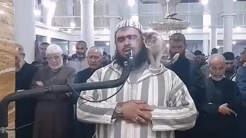 قط يداعب الشيخ