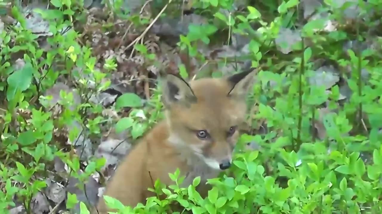 Relaxing Sound, Deep