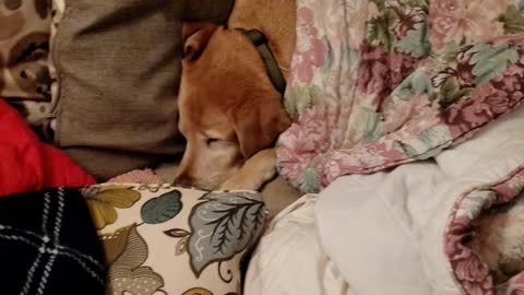 Snow day exhaustion