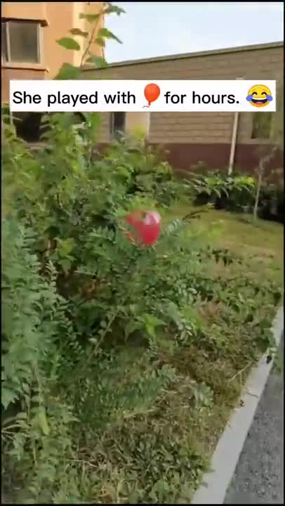 SOO CUTE - She was so happy for the new game!