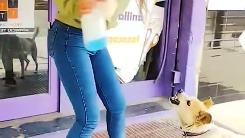 Funny vidéo