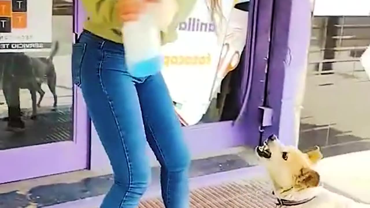 Funny vidéo