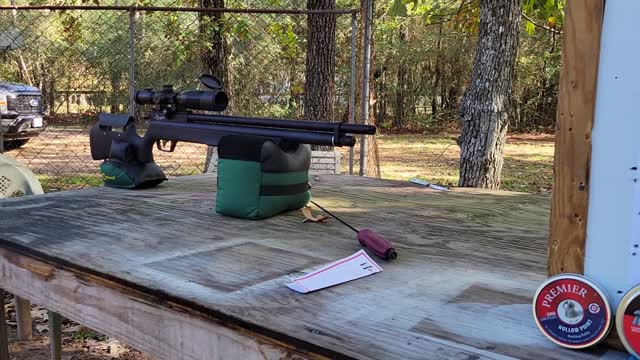 Semi Auto Marauder Pellet Testing